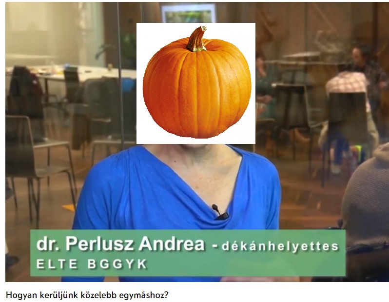 kamu kutatás - Hogyan kerüljünk közelebb egymáshoz?